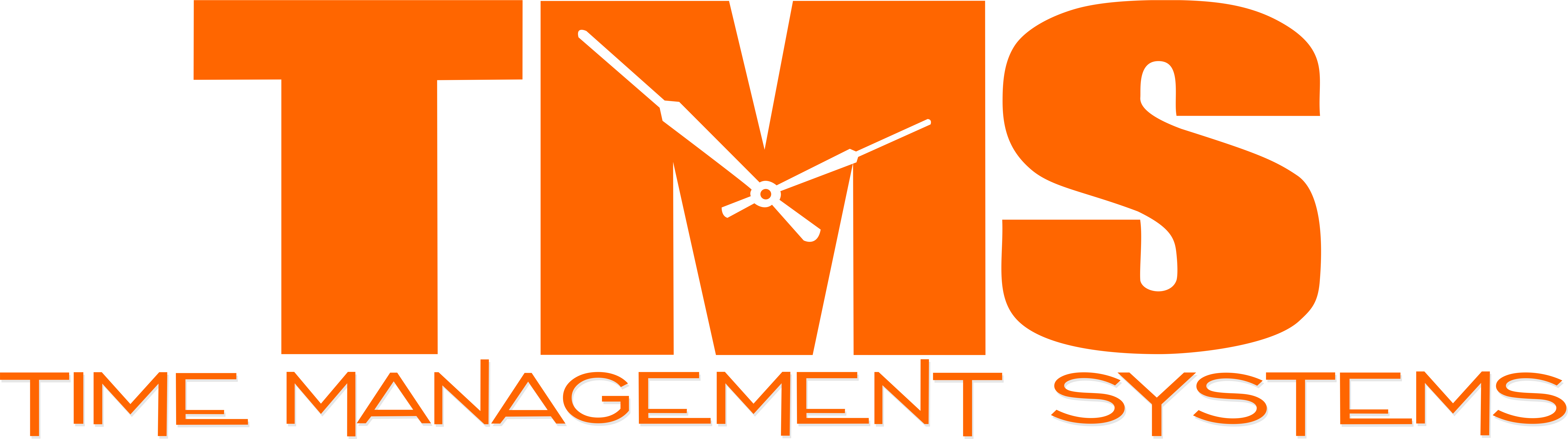 Time Management Systems